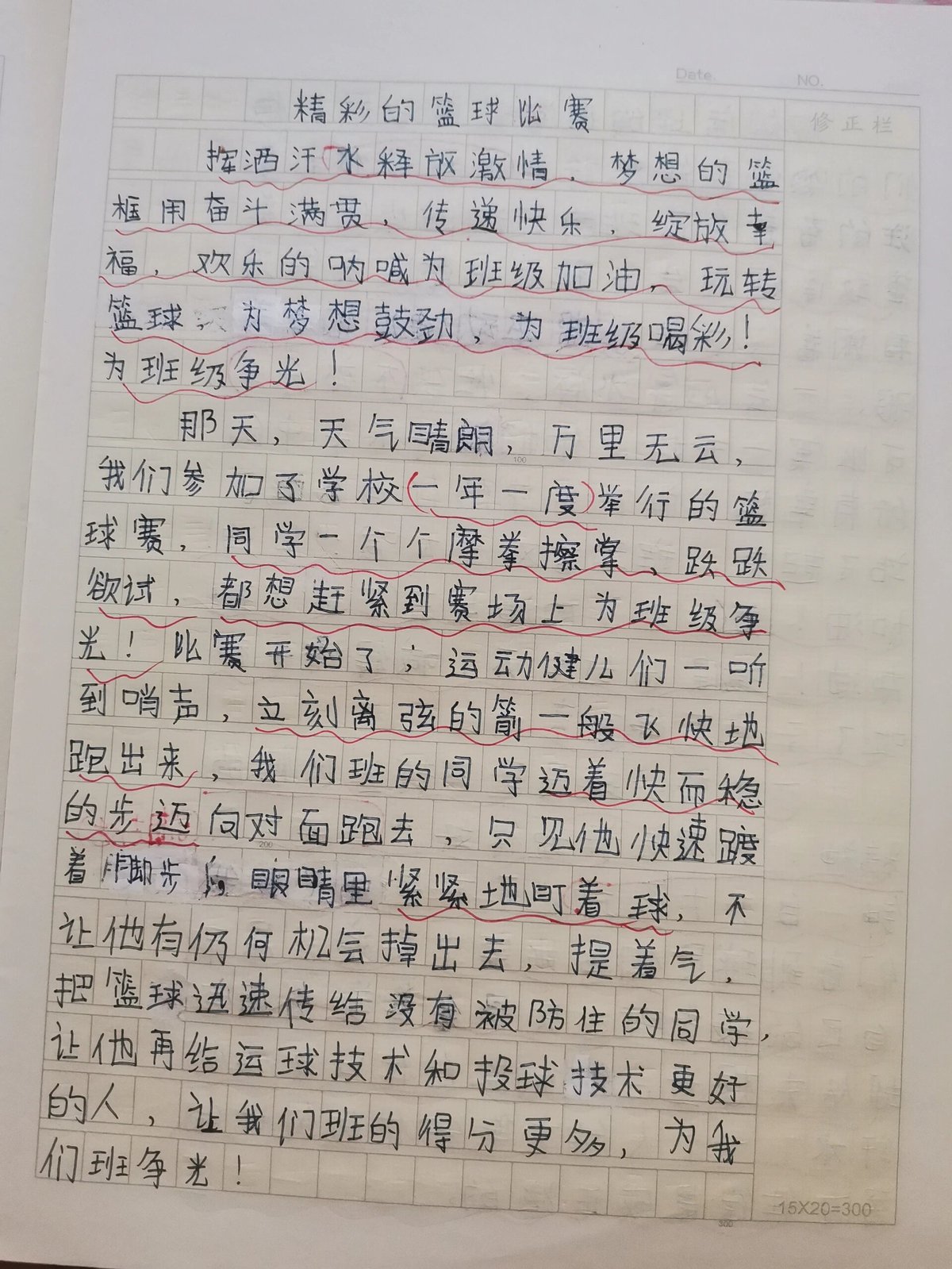 篮球训练的收获感想怎么写作文